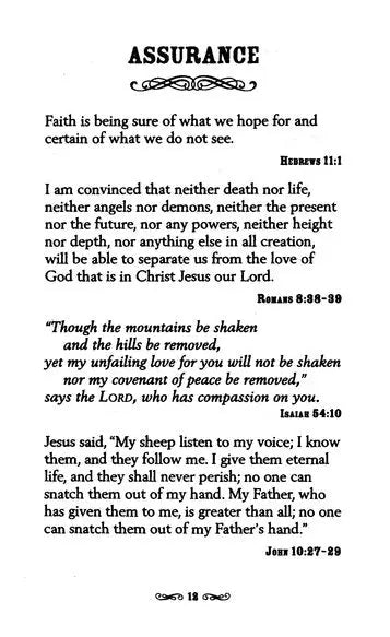 Bible Promises for You, NIV Zondervan