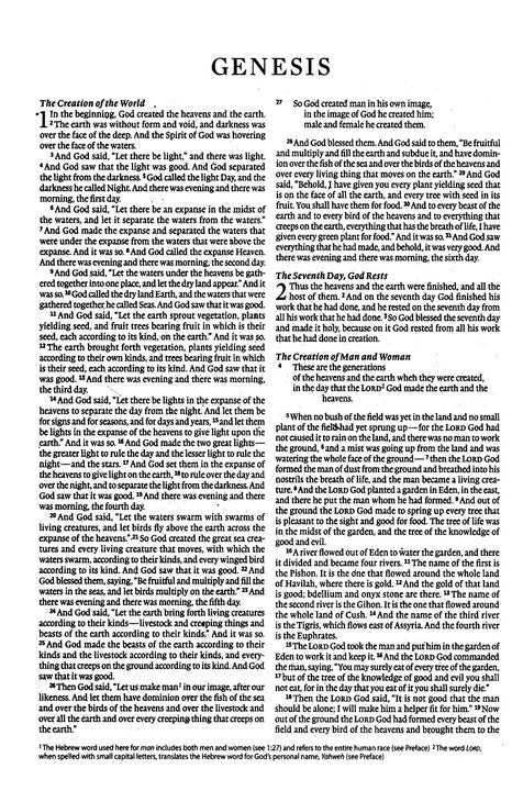 English Standard Version Bible