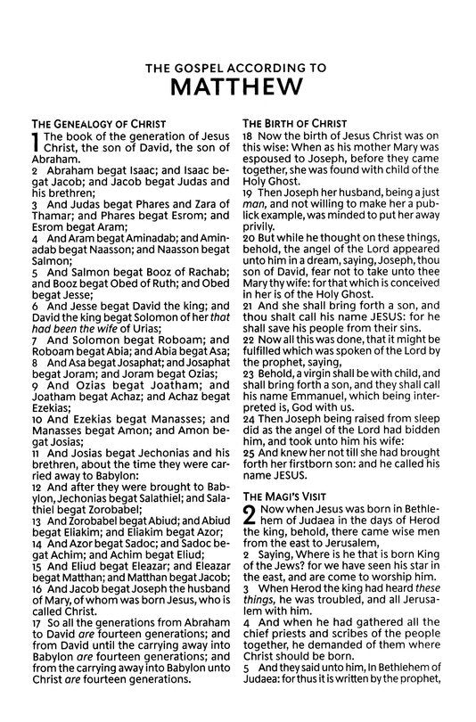 Scenic Holy Bible - KJV Large Print New Testament - Comfort Print - Softcover