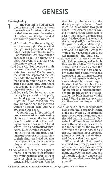 NIV Holy Bible Economy Edition, Larger Print - Blue