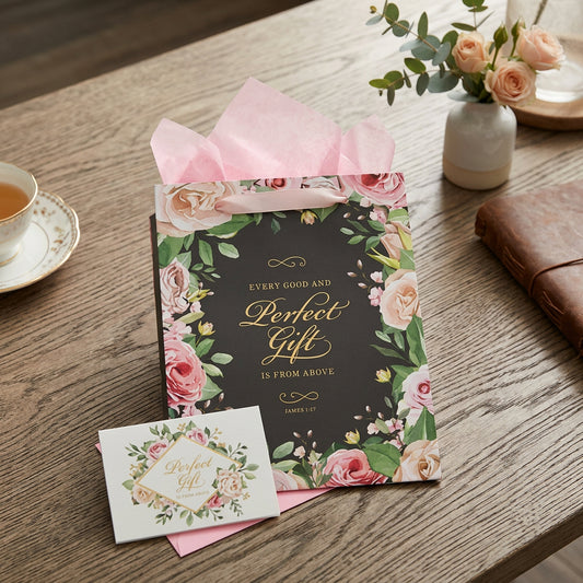 Portrait Gray/Pink Every Good & Perfect Gift James 1:17 - Gift Bag w/ Card LG Faith With Finesse