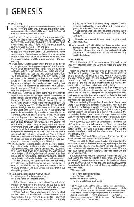 NIV Holy Bible, Economy Edition, Comfort Print, Paperback