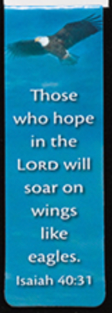 Those Who Hope In the law